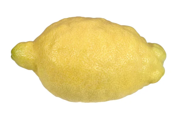 Large Lemon White Background Fruits Vegetables — 图库照片