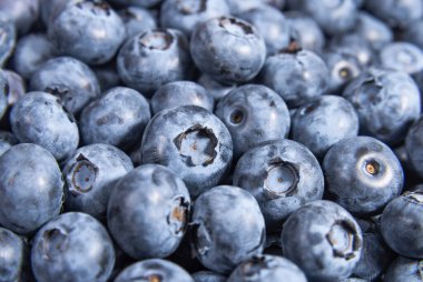 Blueberries close up as a background. Berries and fruits