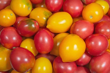 Group of fresh red and yellow tomatoes. Fruits and vegetables