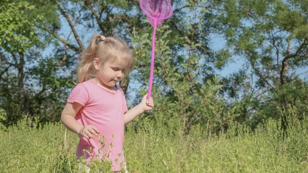 Little girl plays with butterfly net of tall grass in city park. Cute little girl is playing with aerial insect net in meadow on sun day.