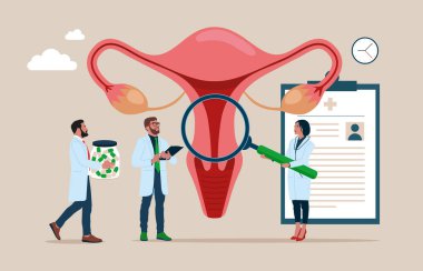 Medical specialists studying donor inner organ. Female doctor using magnifier to check uterus. Abstract concept of gynecology and female health. Vector illustration