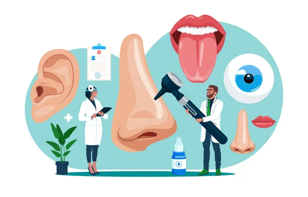 Partes Cara Humana Órganos Sensoriales Establecidos Nariz Oído Ojo Boca — Archivo Imágenes Vectoriales