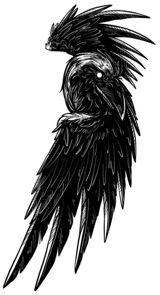 black raven tattoo