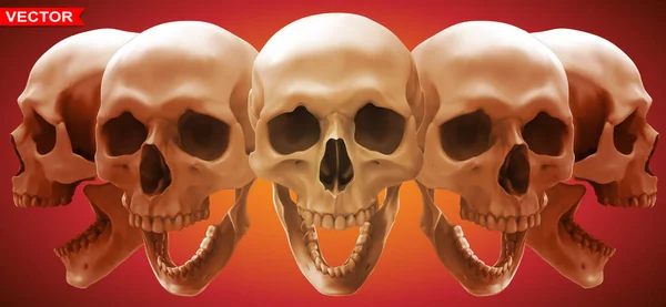 Detailed Graphic Photorealistic Black White Smiling Human Skulls Jaw Red — Vetor de Stock