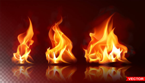 Realistic burning fire flames with shiny bright elements. Isolated on black background. Power, fuel and energy symbol. Layered vector icon set.