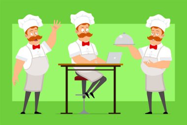 Çizgi film düz komik şişman şef beyaz üniformalı ve fırıncı şapkalı aşçı adam karakteri. Dizüstü bilgisayarda çalışan ve elinde metal tepsi tutan bir çocuk. Animasyon için hazır. Yeşil arka planda izole edilmiş. Vektör simgesi ayarlandı.
