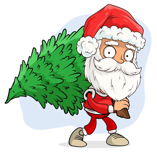 Kırmızı Kostümlü Şapkalı Komik Sakallı Noel Baba Yeşil Köknar Ağacı — Stok Vektör