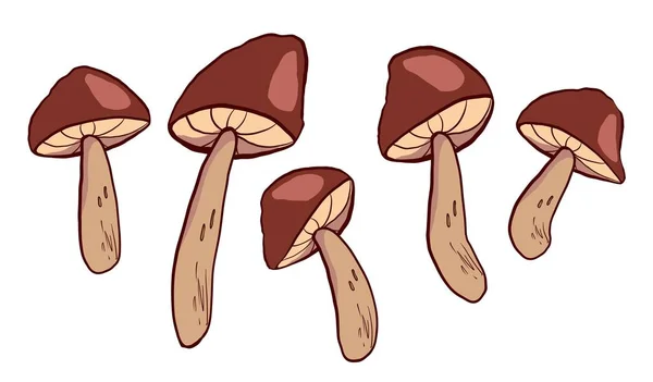Cartoon Hand Drawn Brown Forest Mushrooms Vector Icon Isolated White — Stockový vektor