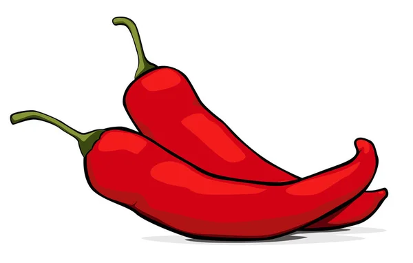 Rode Chili Peper Hete Rode Chili Illustratie — Stockvector
