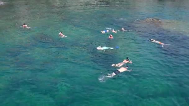 Plongée avec tuba : un groupe de touristes masqués sous-marins flotte lentement à la surface de l'eau. — Video