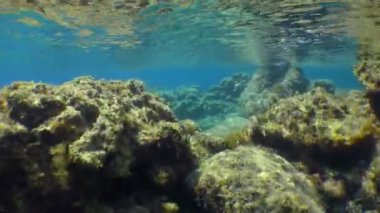 Titreyen güneş ışığının ışınlarında kayalık sualtı manzarası.