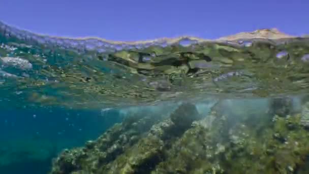 Split, a kamera a tenger szintjén egyszerre mutatja a víz alatti és felszíni sziklás tengerparti táj. — Stock videók