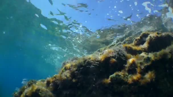 Onda de maré e raios de sol perto do penhasco subaquático, vista inferior. — Vídeo de Stock