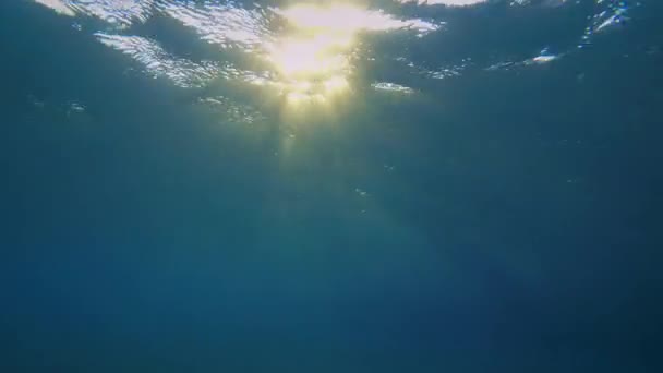 I raggi del sole che tramonta penetrano la colonna d'acqua attraverso le onde sulla superficie. — Video Stock