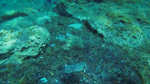 Plástico en el mar: en las grietas de las rocas, olas y corrientes marinas recogen algas muertas y residuos plásticos en grandes cantidades. — Vídeos de Stock