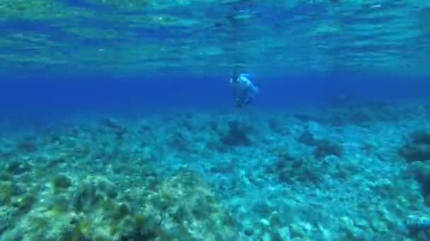 Фридайвер плавает над скалистым морским дном.. — стоковое видео