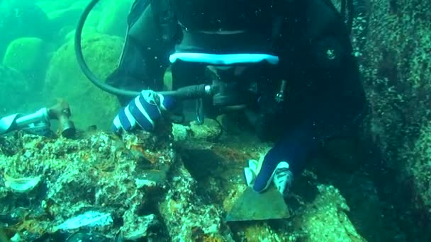 Unterwasserarchäologie: Forscher untersuchen Überreste der Fracht eines hölzernen Segelschiffs. — Stockvideo