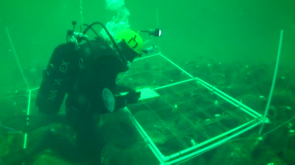 Arqueología submarina: bosquejar un objeto arqueológico submarino utilizando un dispositivo especial instalado en el fondo del mar . — Vídeos de Stock