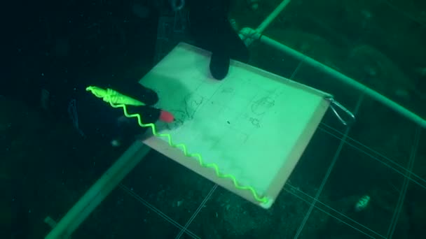 Archéologie sous-marine : esquisser un objet archéologique sous-marin à l'aide d'un dispositif spécial installé sur le fond marin . — Video