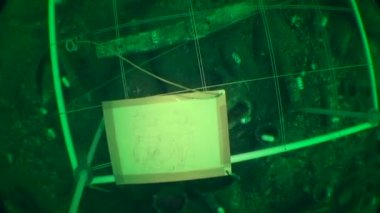 Sualtı arkeolojisi: en alta yerleştirilmiş özel bir araç kullanarak sualtı arkeolojik bir nesne çizimi.