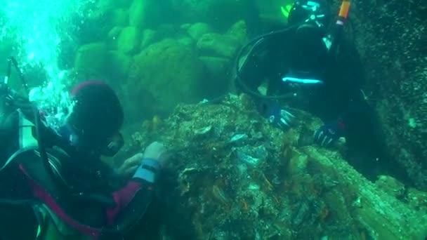 Archeologia podwodna: badacze badają pozostałości drewnianego ładunku żaglowca. — Wideo stockowe