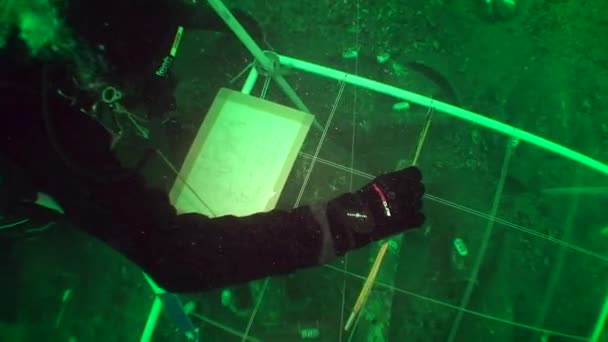 Υποβρύχια αρχαιολογία: σχεδιάζοντας ένα υποβρύχιο αρχαιολογικό αντικείμενο χρησιμοποιώντας ένα ειδικό εργαλείο εγκατεστημένο στο κάτω μέρος. — Αρχείο Βίντεο