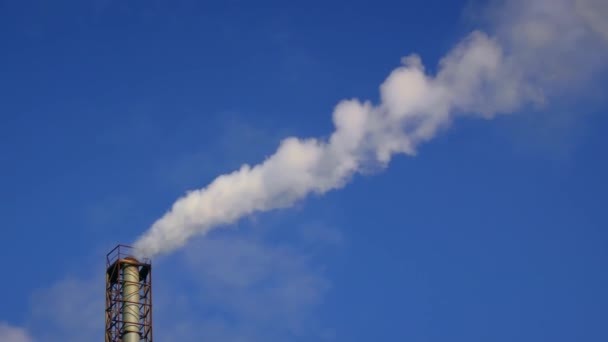 Factory chimney emitting a stream of smoke. — стоковое видео