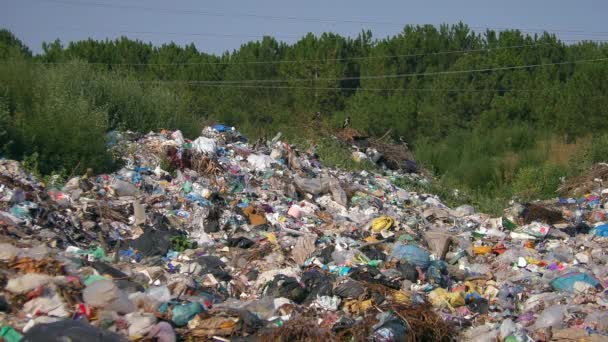 Odpad, Odpad města, Skládka. — Stock video