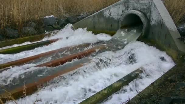 Dirty water flows from a pipe. — Stock Video