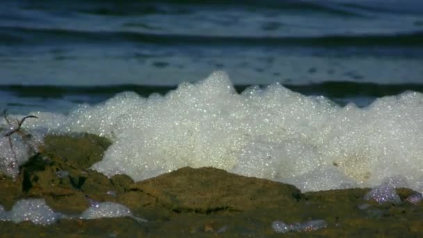 La espuma rica es un indicador de una gran cantidad de materia orgánica en el agua. — Vídeo de stock