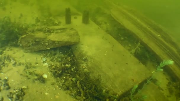 Investigación arqueológica de la antigua nave de madera de los cosacos en el río Dniéper. — Vídeo de stock