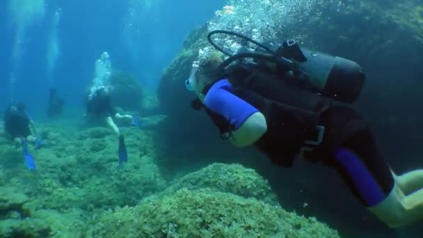 Addestramento subacqueo: un gruppo di studenti subacquei segue l'istruttore durante la prima immersione. — Video Stock