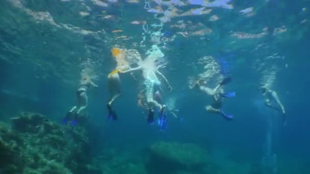 Şnorkelle yüzmek: bir grup turist su yüzeyinde, alt manzara. — Stok video