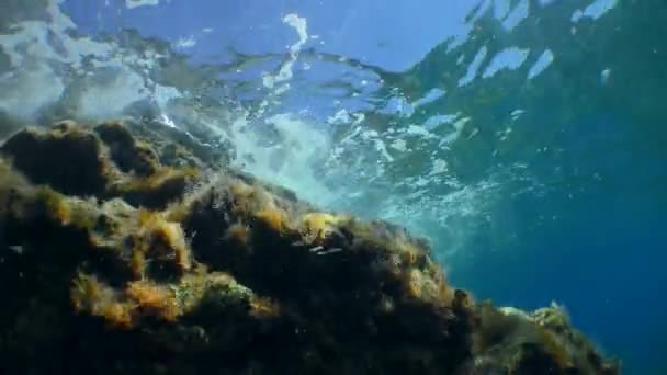 Flutwelle und Sonnenstrahlen in der Nähe der Unterwasserklippe, Blick von unten. — Stockvideo