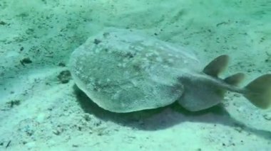 Kumlu zeminde elektrik ışını.