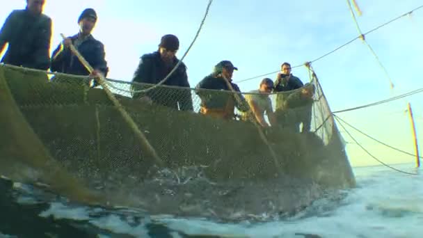 Pekerjaan pemancing profesional. Penangkapan ikan laut tradisional. — Stok Video