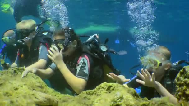 Entrenamiento de buceo: grupo de jóvenes buceadores hacen su primera inmersión con instructor. — Vídeo de stock