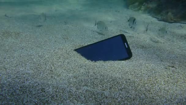 Ένα χαμένο smartphone Huawei σε έναν αμμώδη πυθμένα που περιβάλλεται από ένα σμήνος ψαριών τσιπούρας, υποβρύχια. — Αρχείο Βίντεο