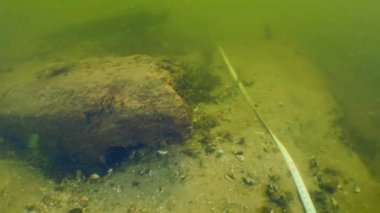 Dinyeper Nehri 'ndeki Kazakların antik ahşap gemisi hakkında arkeolojik araştırma..