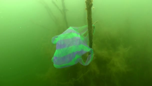 Plastové znečištění: plastový sáček na větvi zaplaveného stromu. — Stock video