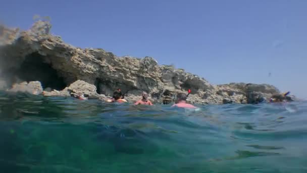 Snorkling: en grupp turister i undervattensmasker på ytan av vattnet, delad. — Stockvideo