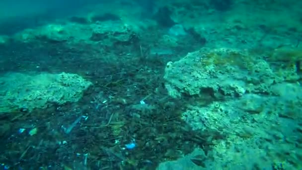 Poluição marinha: garrafas e sacos de plástico no fundo do mar. — Vídeo de Stock