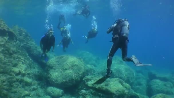 Dykning: nstructor tar ett foto av dykare under sitt första dyk. — Stockvideo