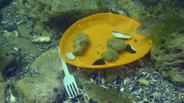 Poluição plástica da lagoa: peixes Goby entre os resíduos de plástico no fundo do mar. — Vídeo de Stock