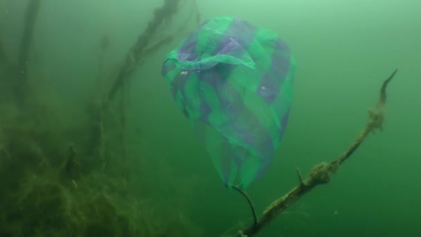 Plastové znečištění: plastový sáček na větvi zaplaveného stromu. — Stock video
