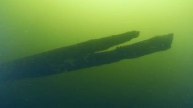 Dinyeper Nehri 'ndeki Kazakların antik ahşap gemisi hakkında arkeolojik araştırma..