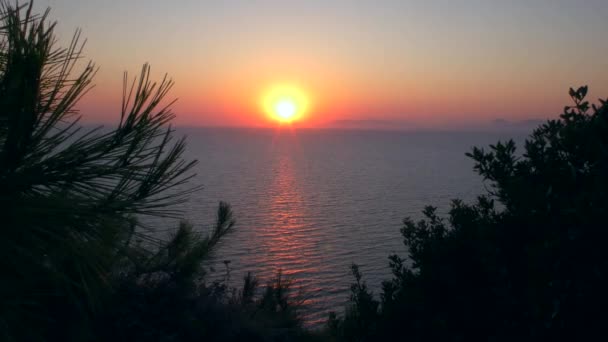 Sonnenuntergang Über Dem Meer Durch Eine Lücke Der Küstenvegetation — Stockvideo