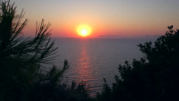 Tramonto Sul Mare Attraverso Divario Vegetazione Costiera — Video Stock