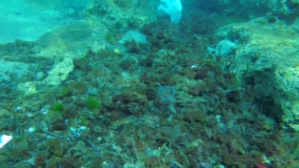 Sea Pollution Large Number Plastic Bags Bottles Dead Seaweed Seabed — Stock Video