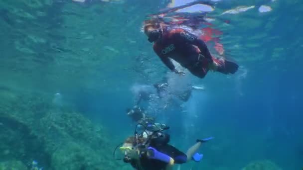 다이빙 다이빙 직원들은 학생들의 안전을 끊임없이 — 비디오